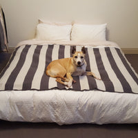 Wool Blanket & Carrier