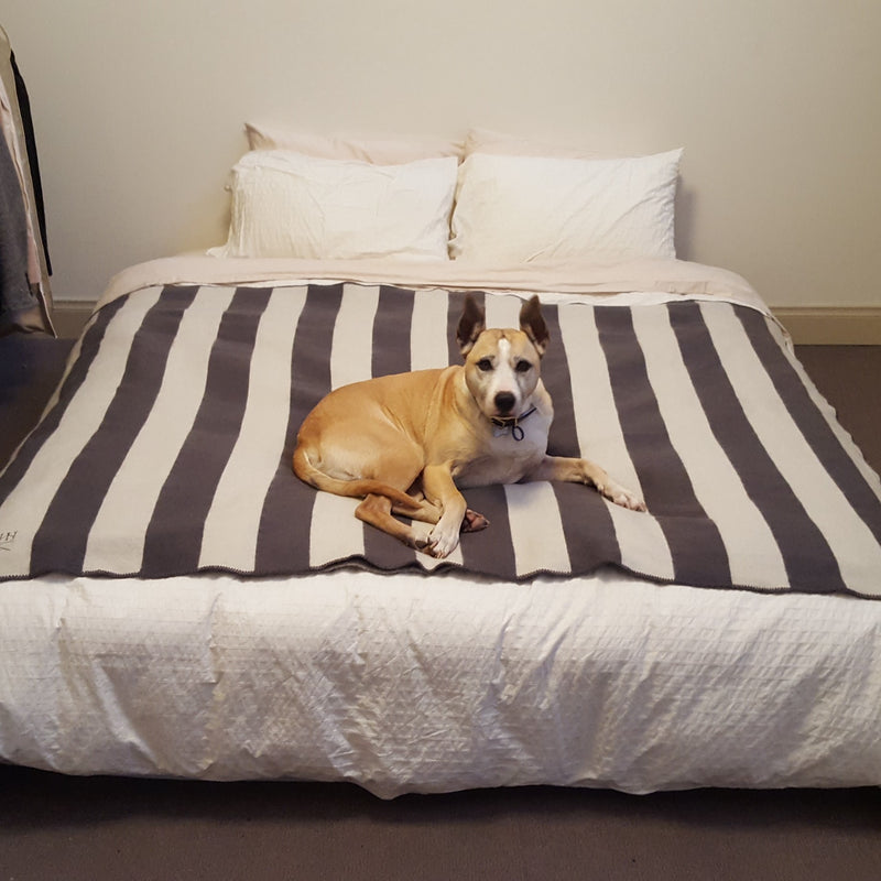 Wool Blanket & Carrier